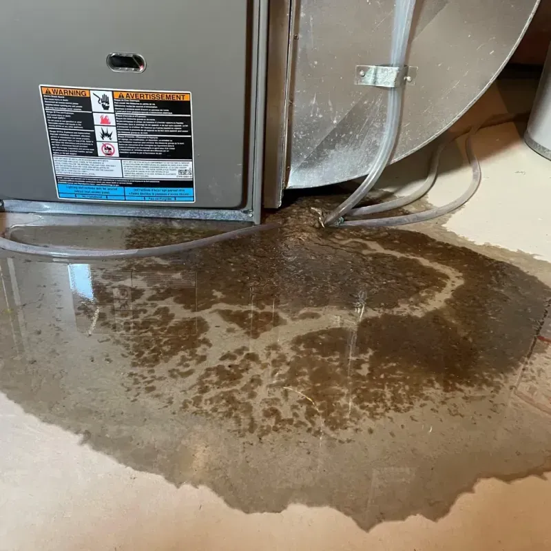 Appliance Leak Cleanup in Legend Lake, WI